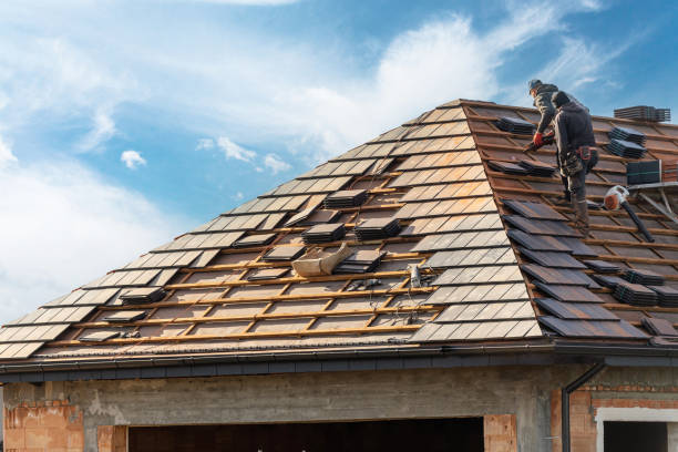 Best Roof Insulation Installation  in Mount Vernon, IL